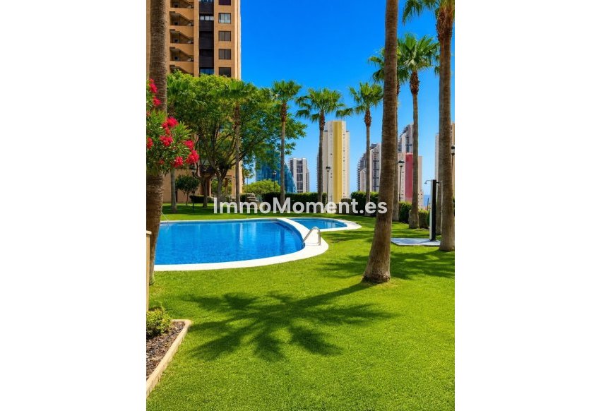 Reventa - Apartamento - Benidorm - Benidorm Centro