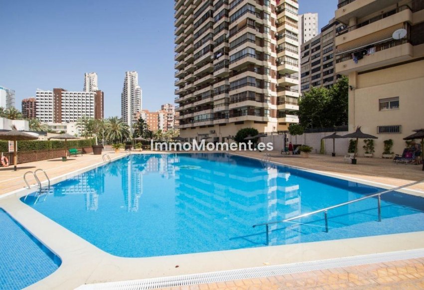 Reventa - Apartamento - Benidorm - Benidorm Centro