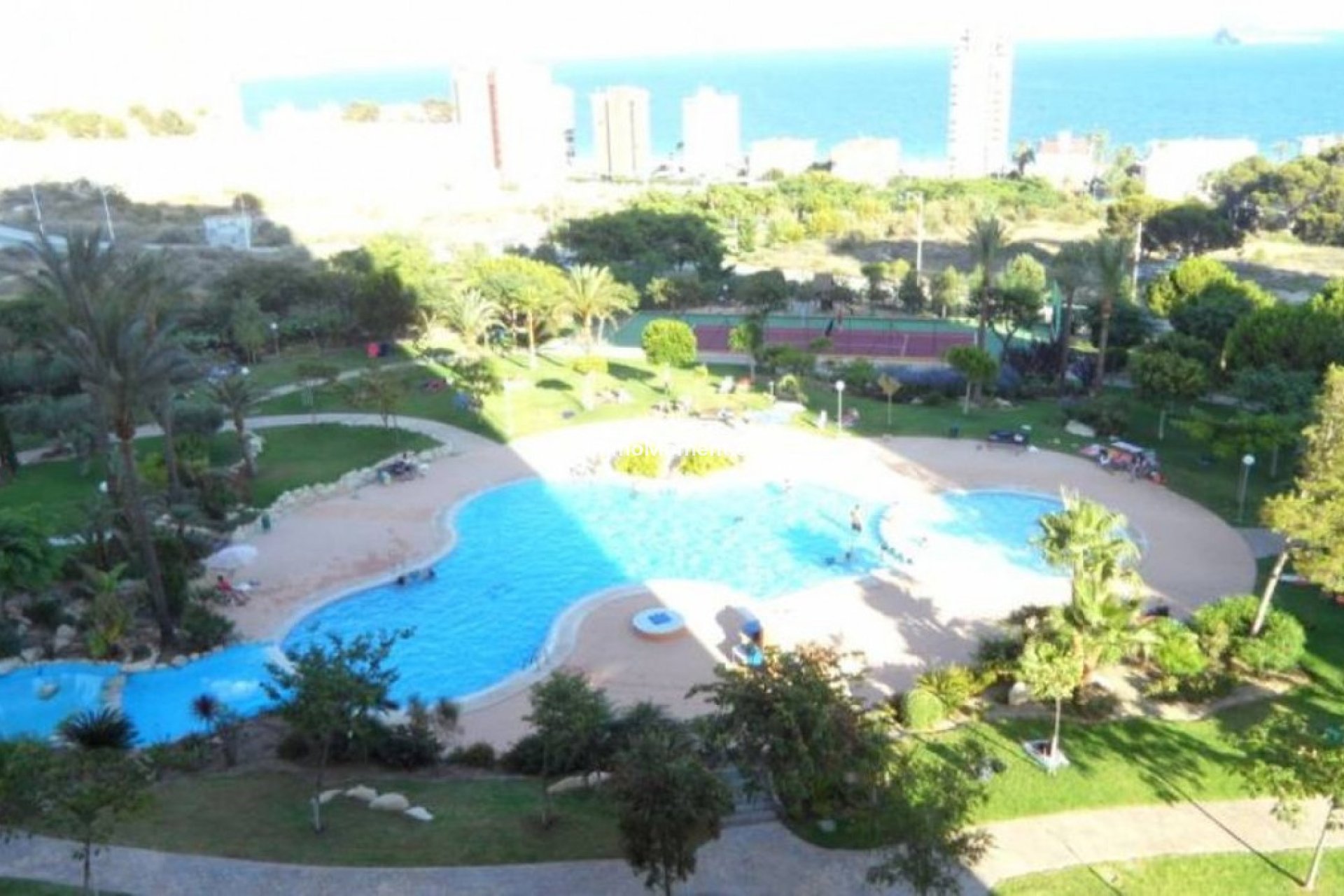 Reventa - Apartamento - Benidorm - Benidorm Centro
