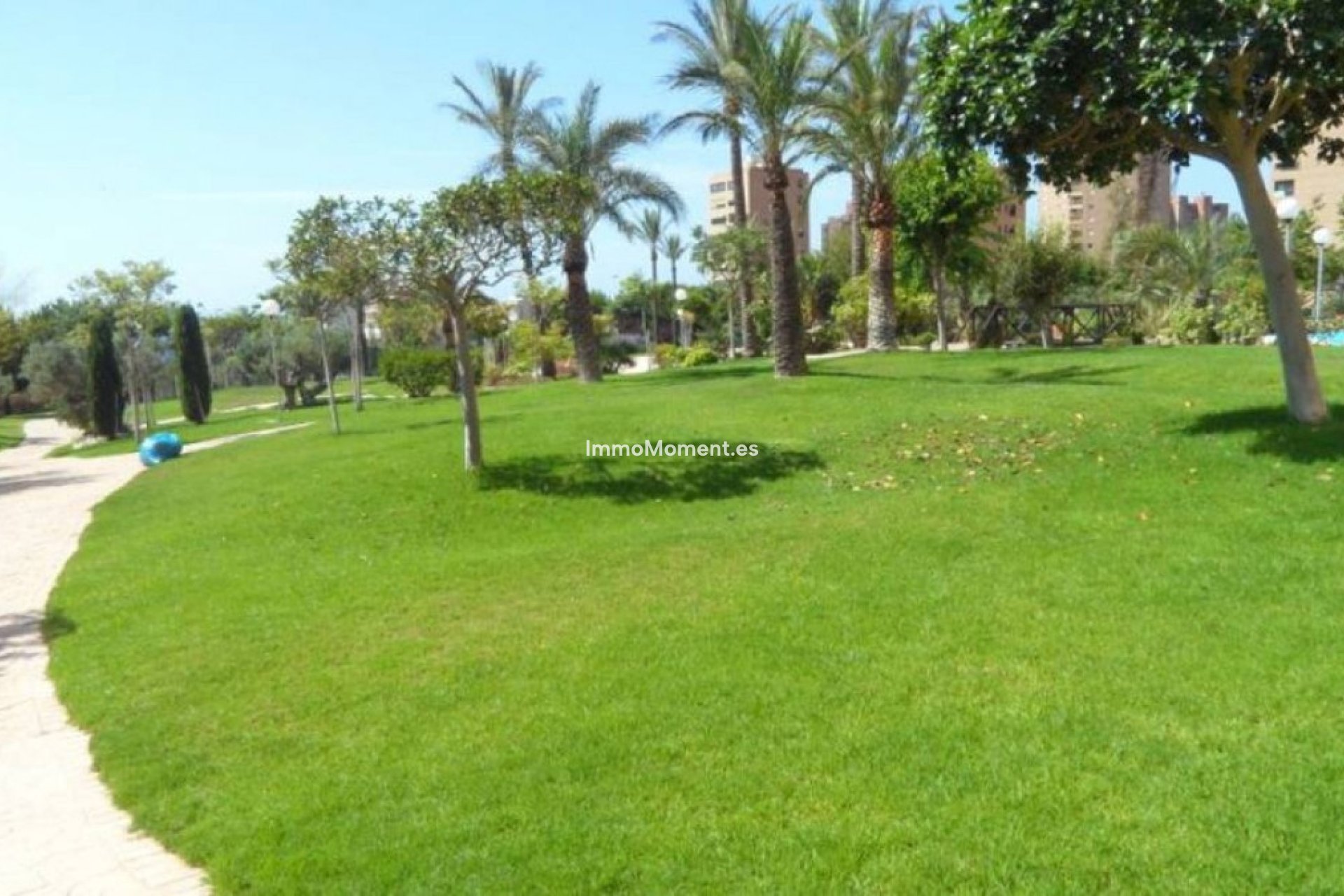 Reventa - Apartamento - Benidorm - Benidorm Centro