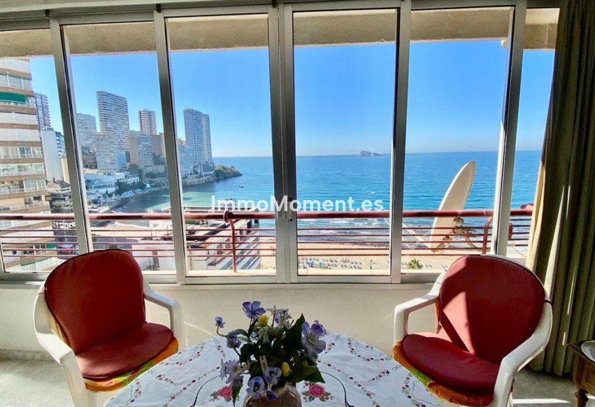 Reventa - Apartamento - Benidorm - Benidorm Centro