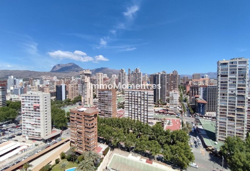 Reventa - Apartamento - Benidorm - Benidorm Centro