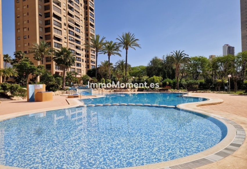 Reventa - Apartamento - Benidorm - Benidorm Centro