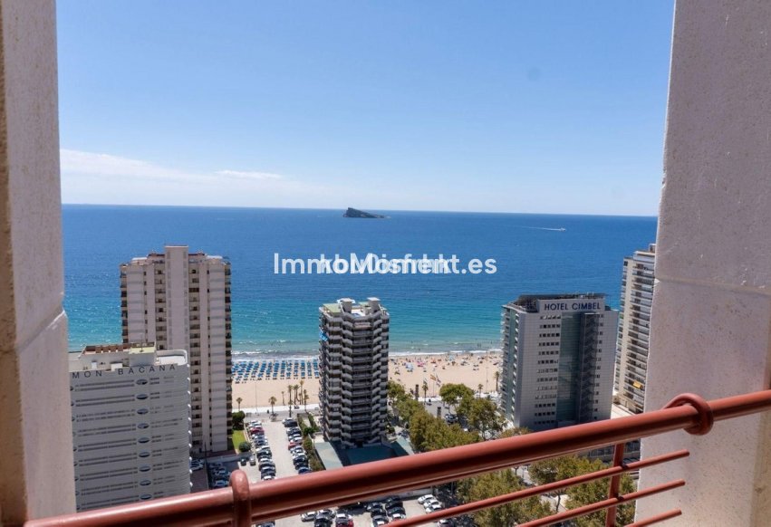 Reventa - Apartamento - Benidorm - Benidorm Centro