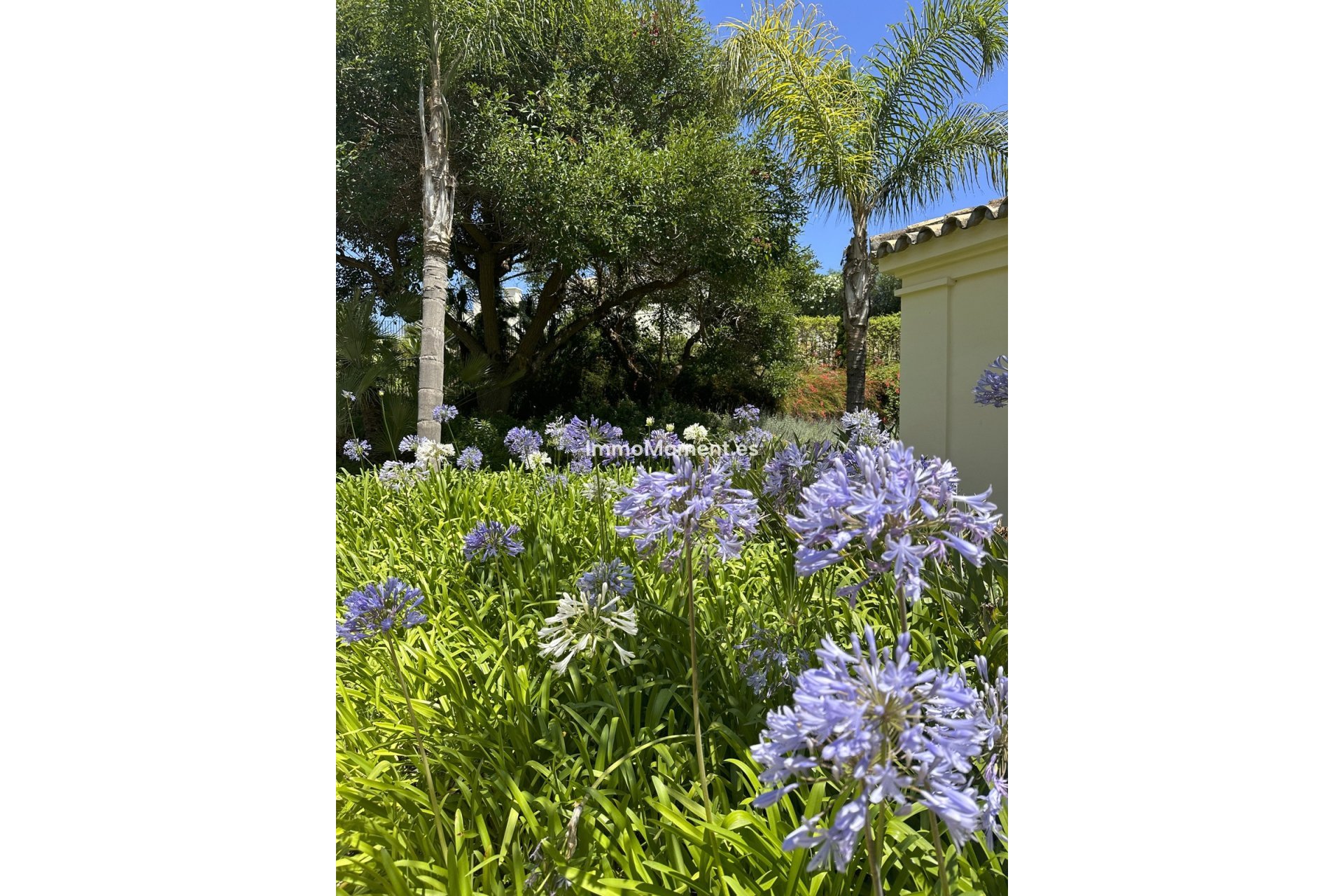 Reventa - Apartamento - Casares - Casares Centro