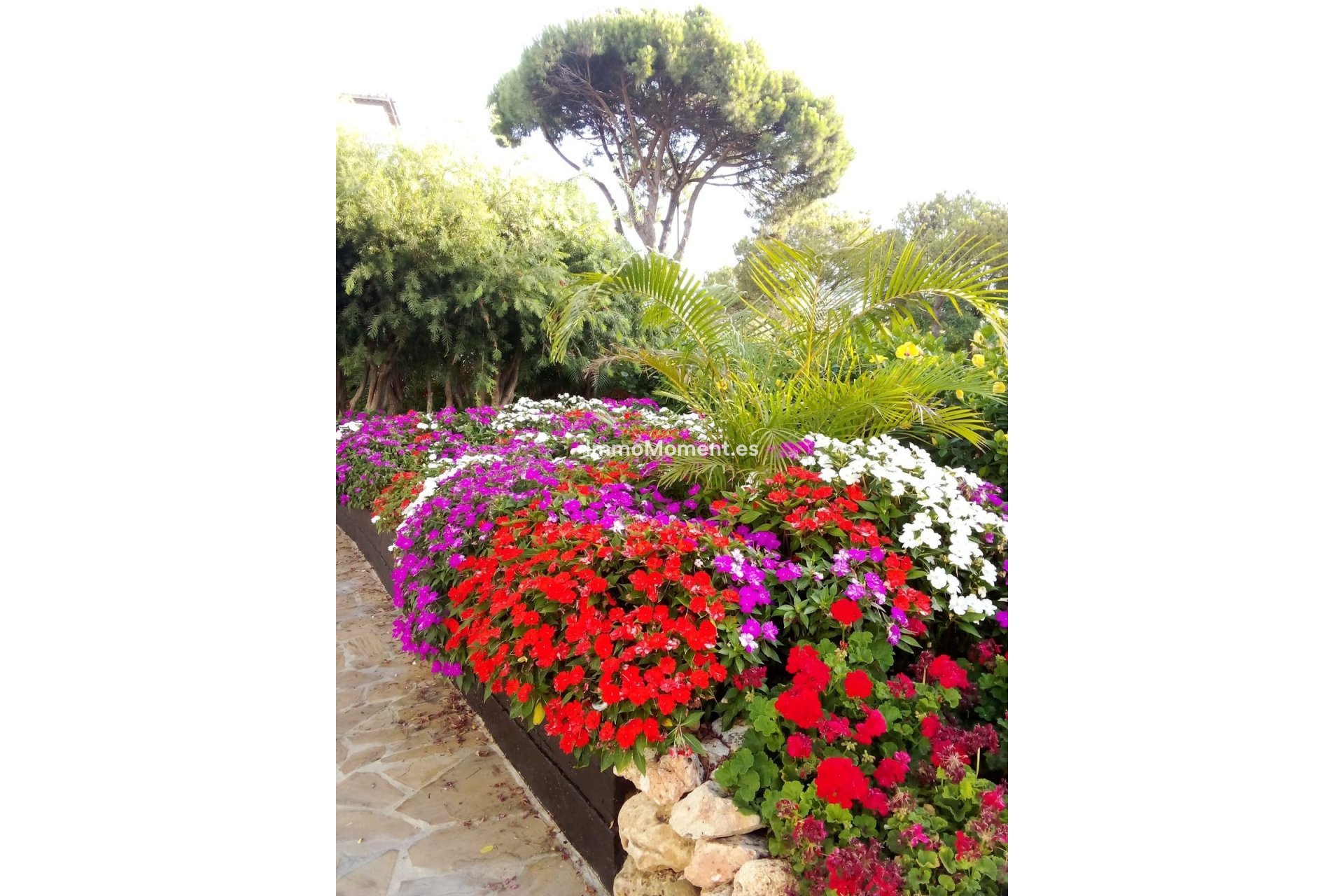 Reventa - Apartamento - Estepona  - El Presidente