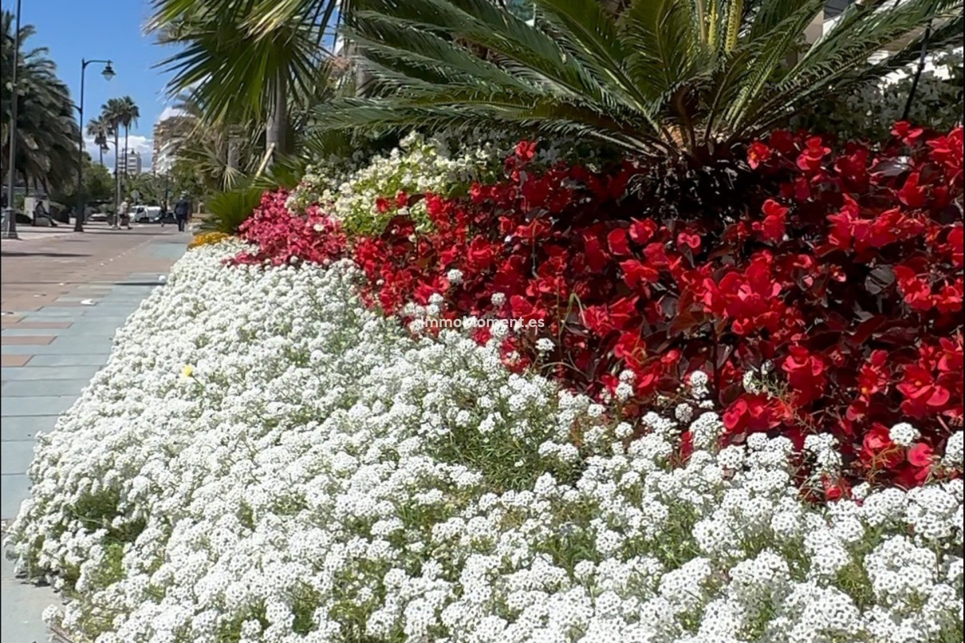 Reventa - Apartamento - Estepona  - Estepona Centro