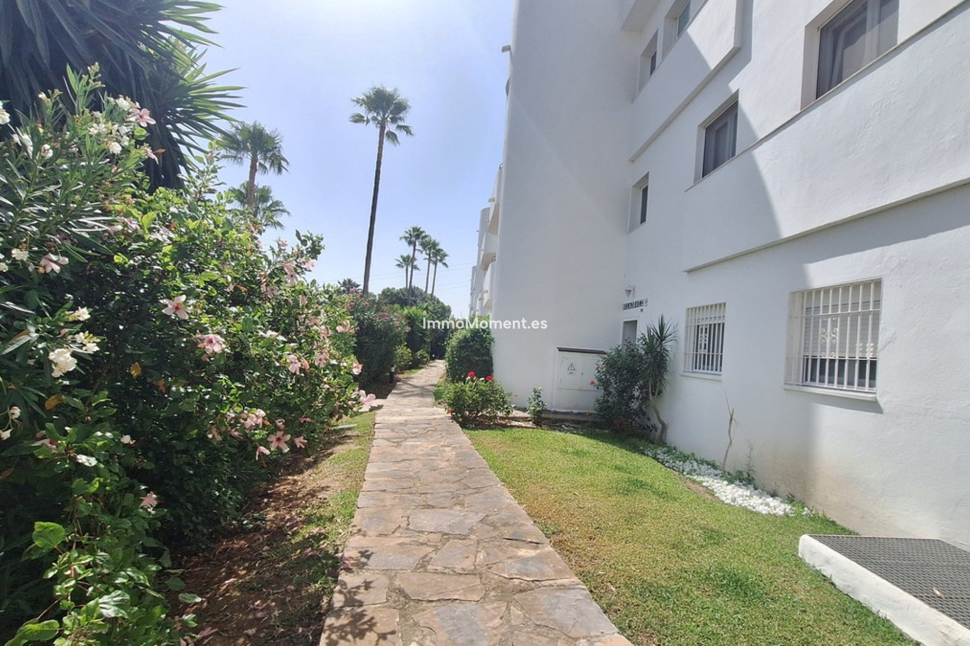 Reventa - Apartamento - Estepona  - Estepona Centro