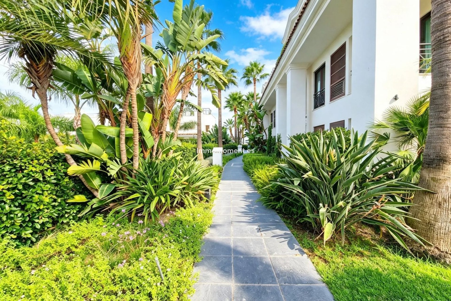 Reventa - Apartamento - Estepona  - Estepona Centro