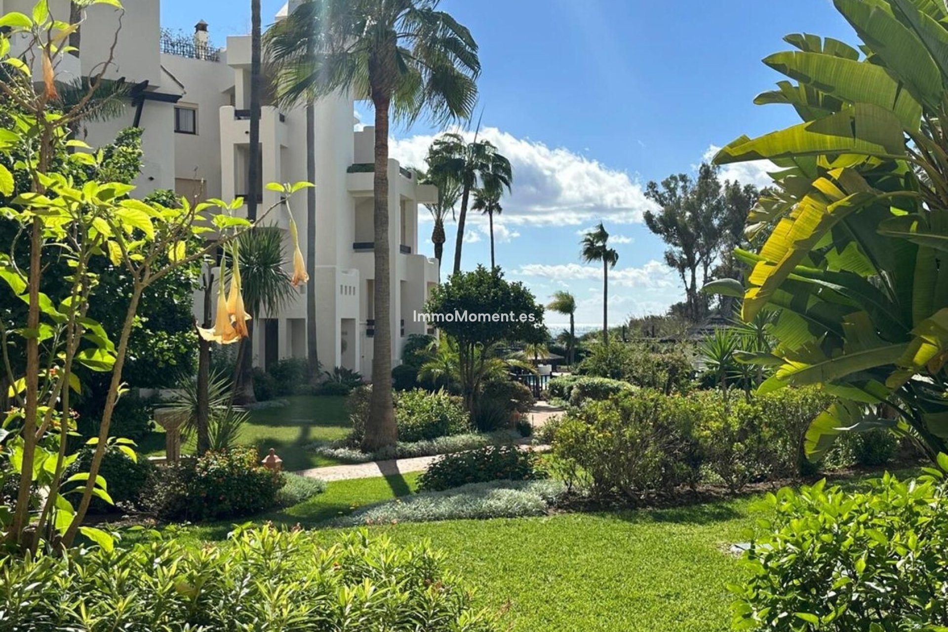 Reventa - Apartamento - Estepona  - Estepona Centro