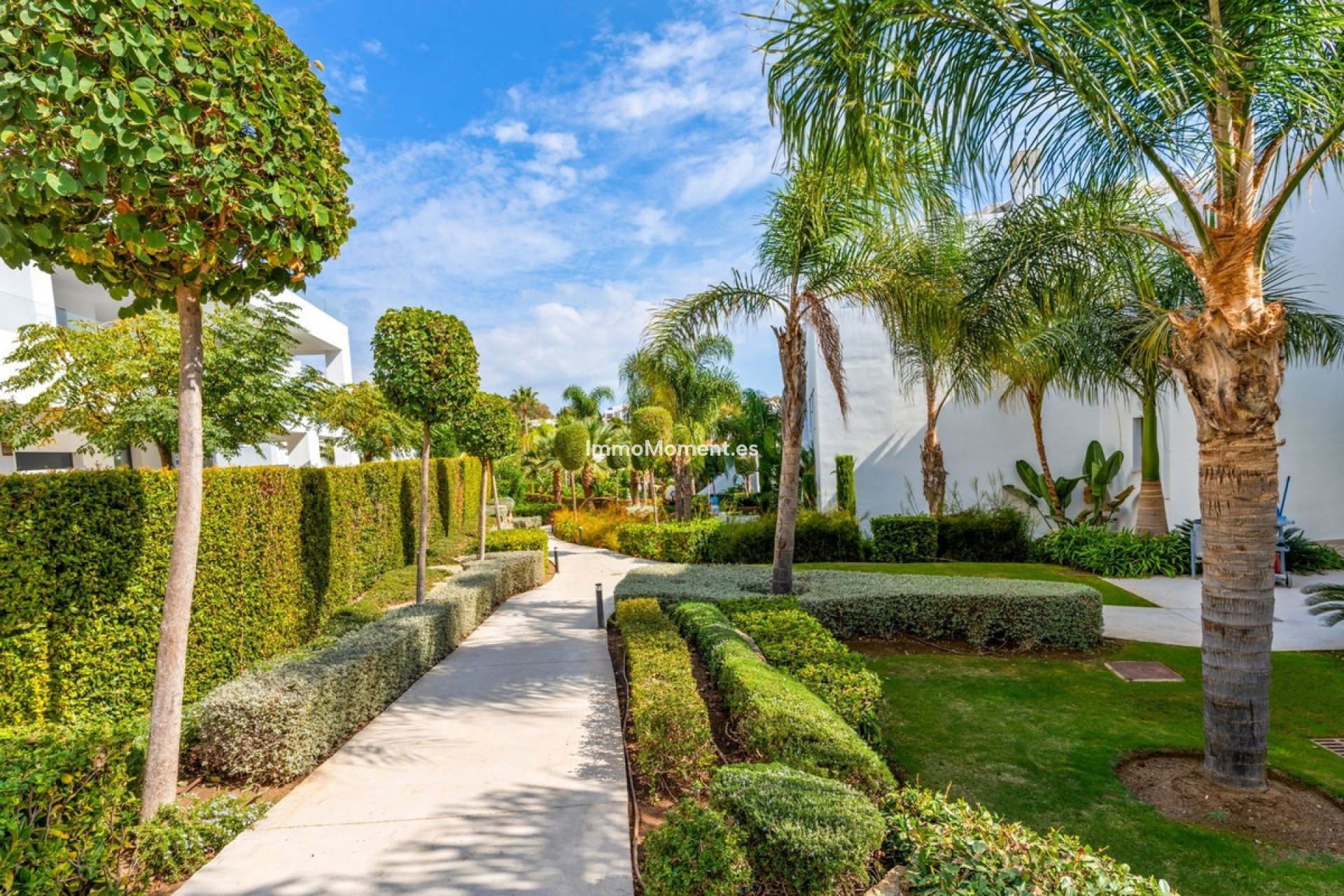 Reventa - Apartamento - Estepona  - Estepona Centro