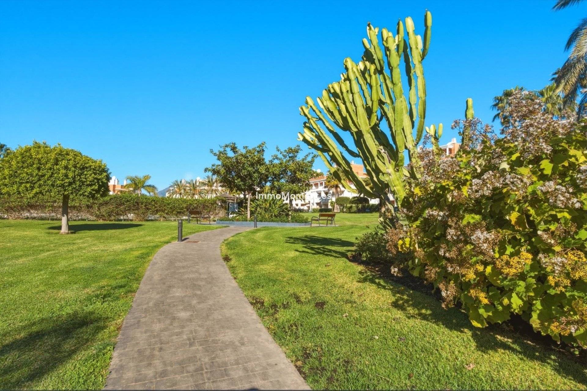 Reventa - Apartamento - Estepona  - Estepona Centro