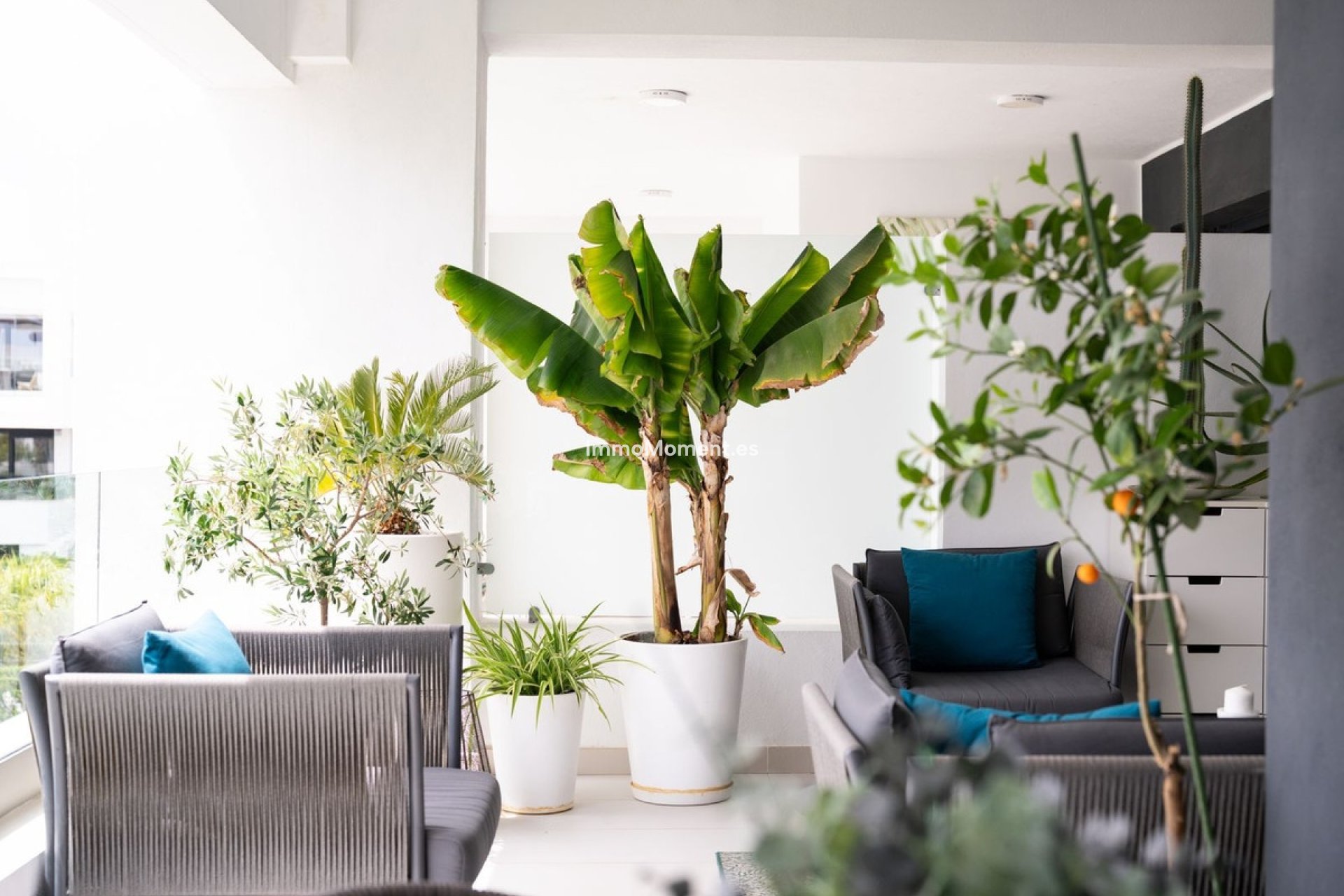 Reventa - Apartamento - Estepona  - Estepona Centro