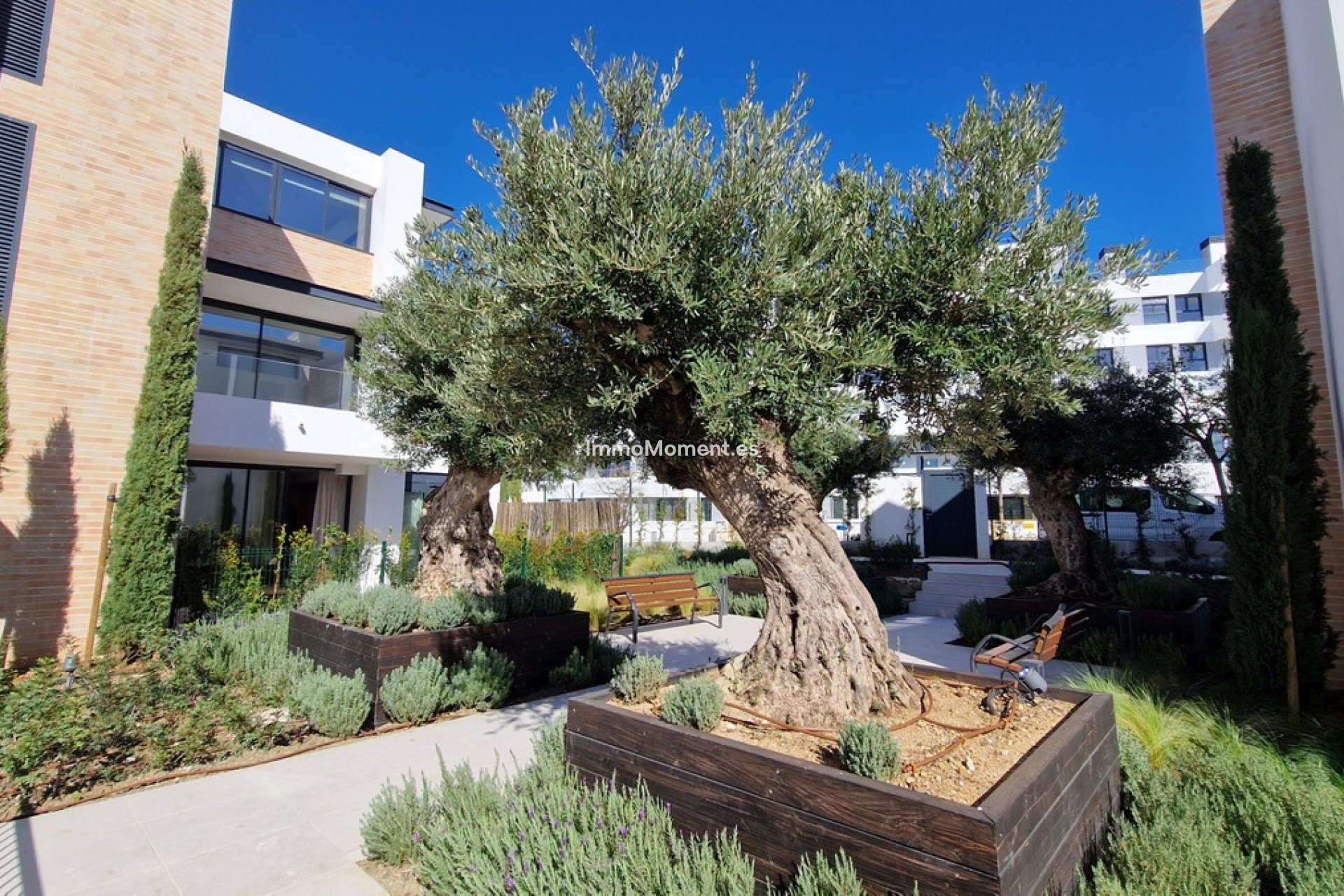 Reventa - Apartamento - Estepona  - Estepona Centro