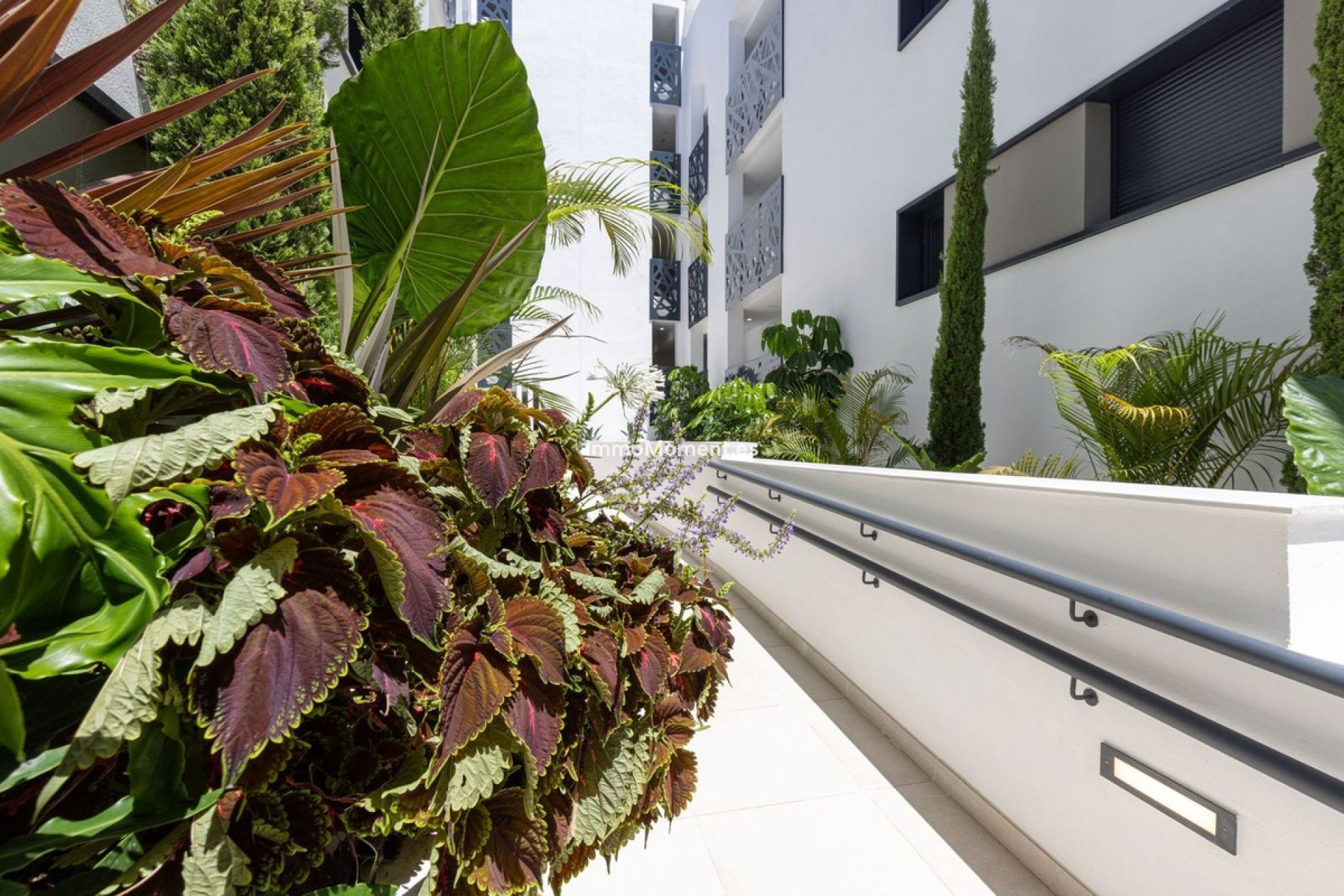 Reventa - Apartamento - Estepona  - Estepona Centro