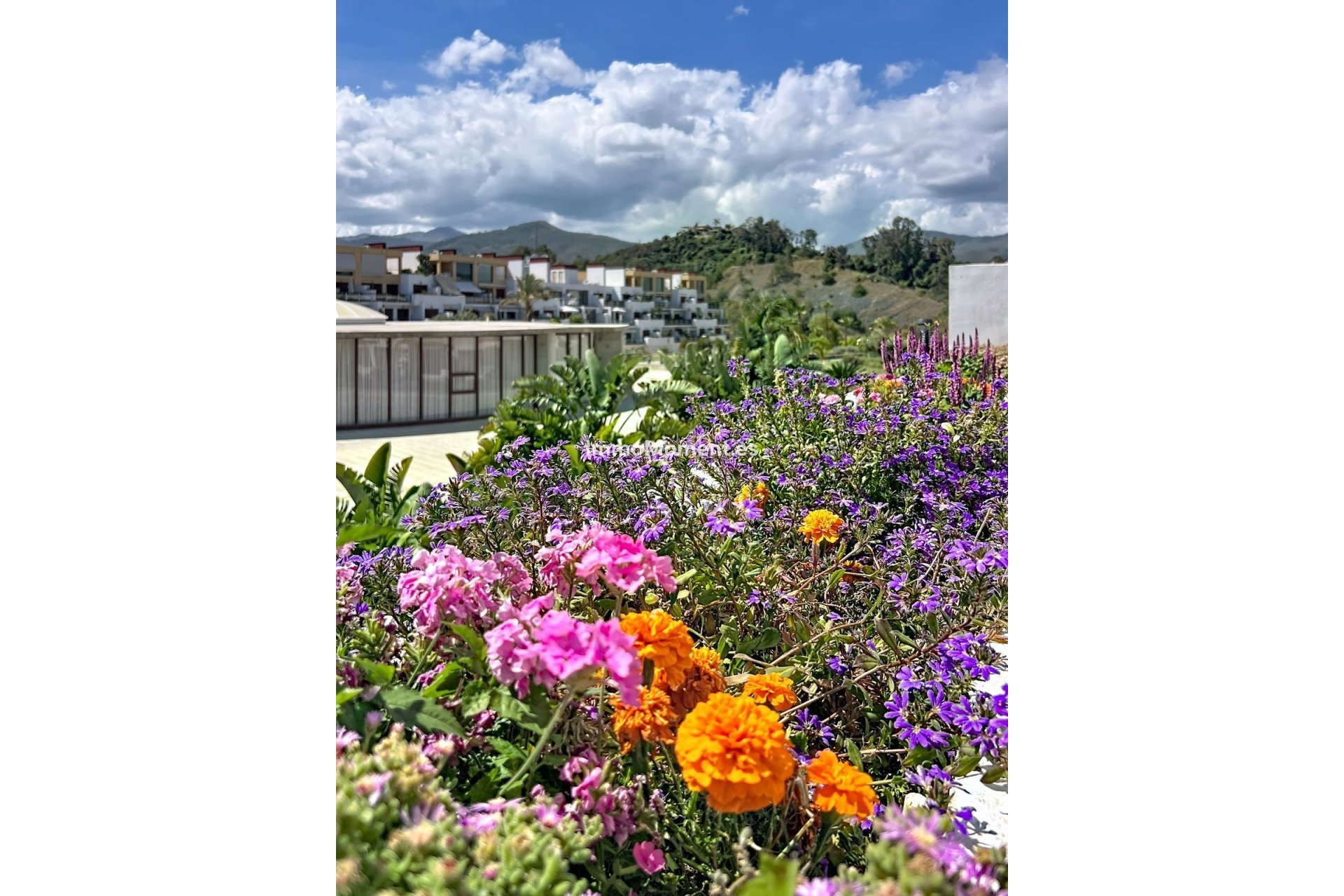 Reventa - Apartamento - Estepona  - Selwo