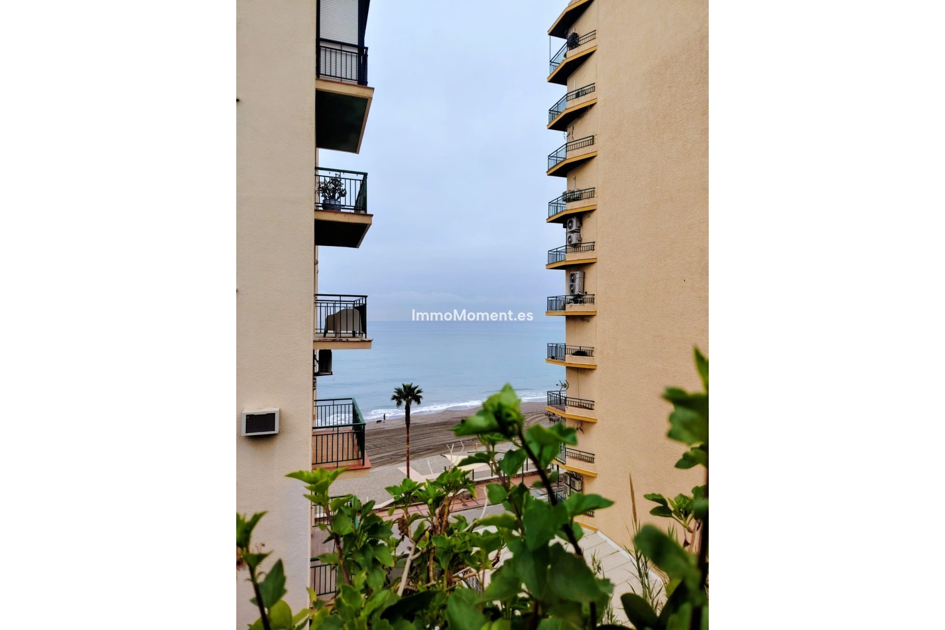 Reventa - Apartamento - Fuengirola - Carvajal