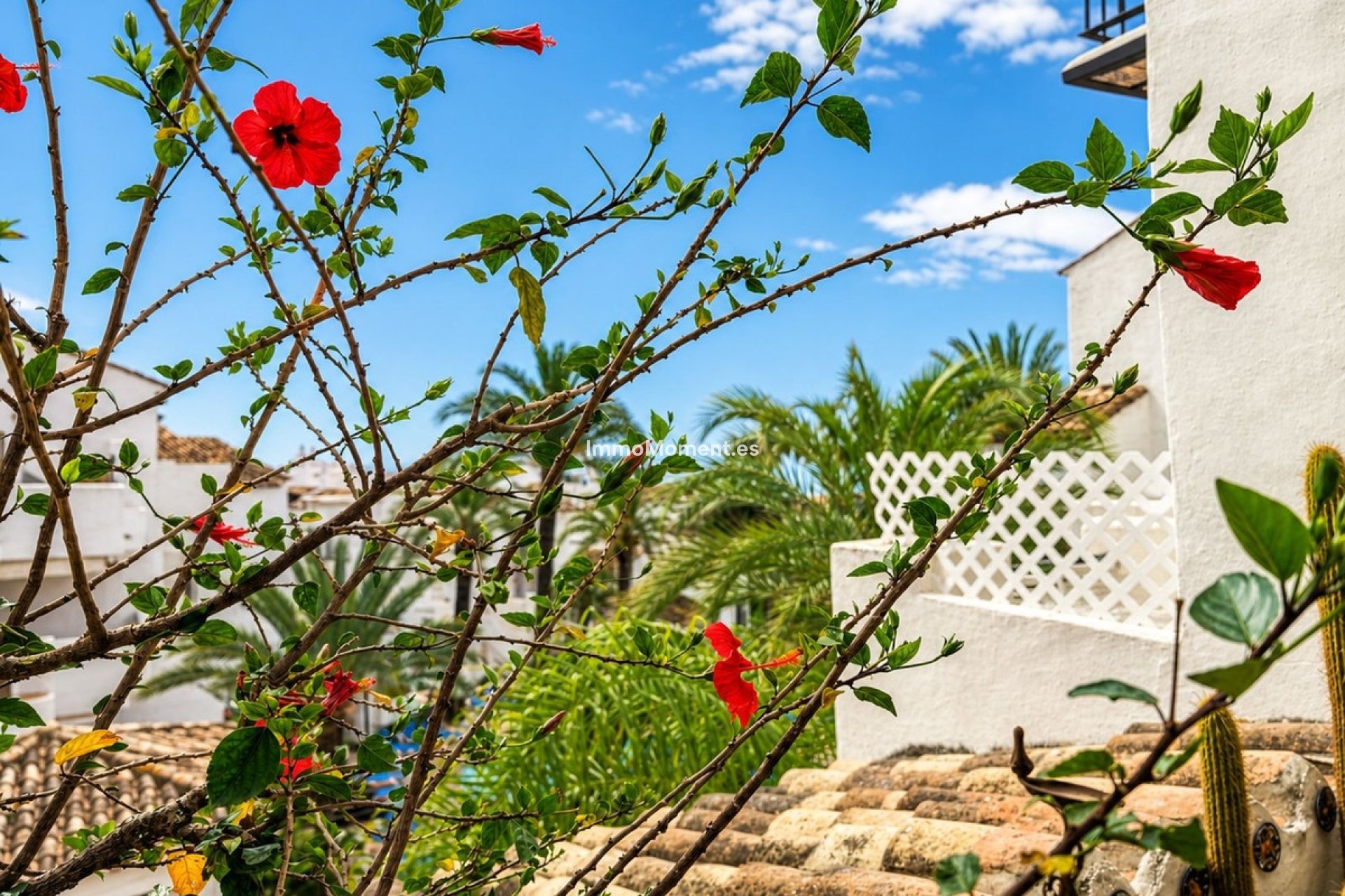 Reventa - Apartamento - Manilva - La Duquesa