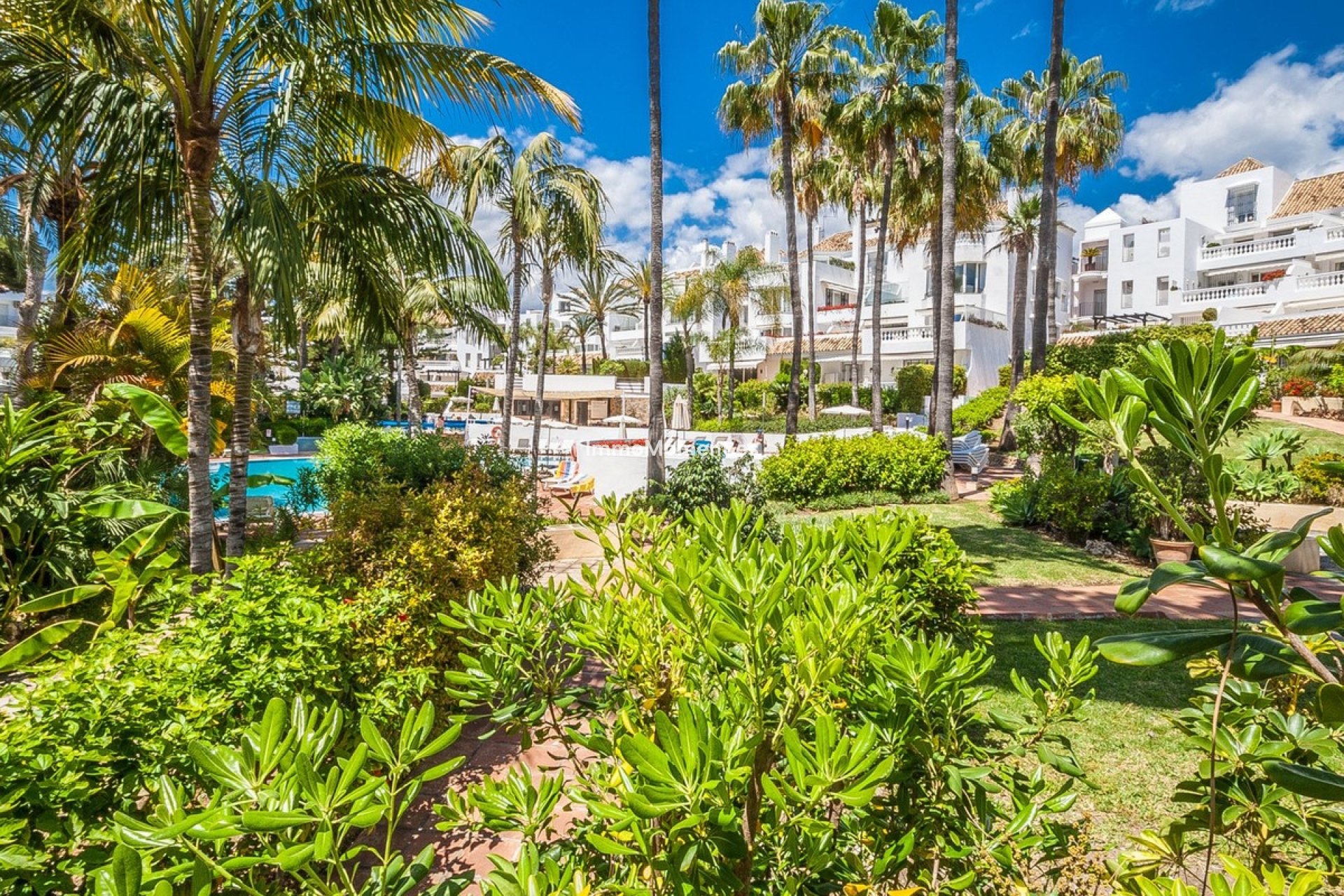 Reventa - Apartamento - Marbella - Elviria