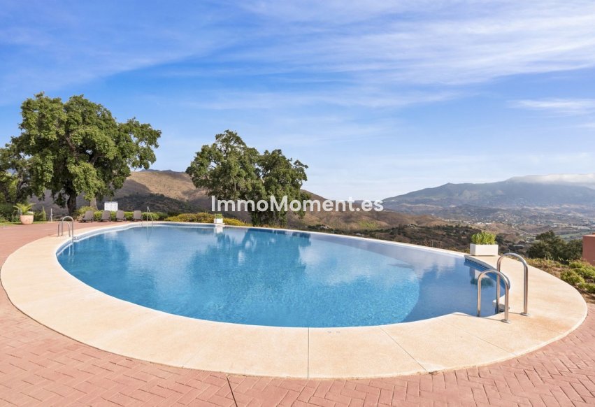 Reventa - Apartamento - Marbella - La Mairena