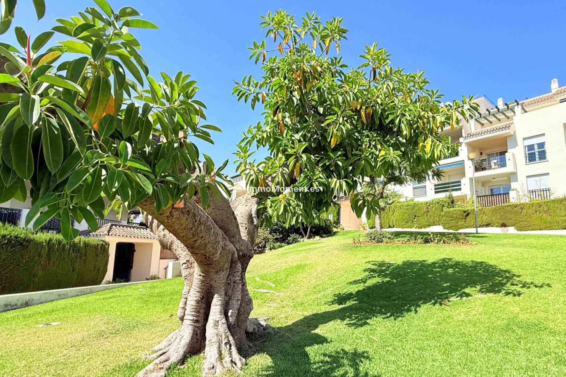 Reventa - Apartamento - Marbella - Marbella Centro