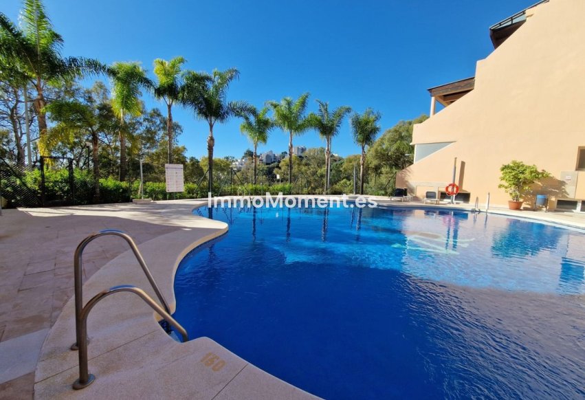 Reventa - Apartamento - Marbella - Marbella Centro