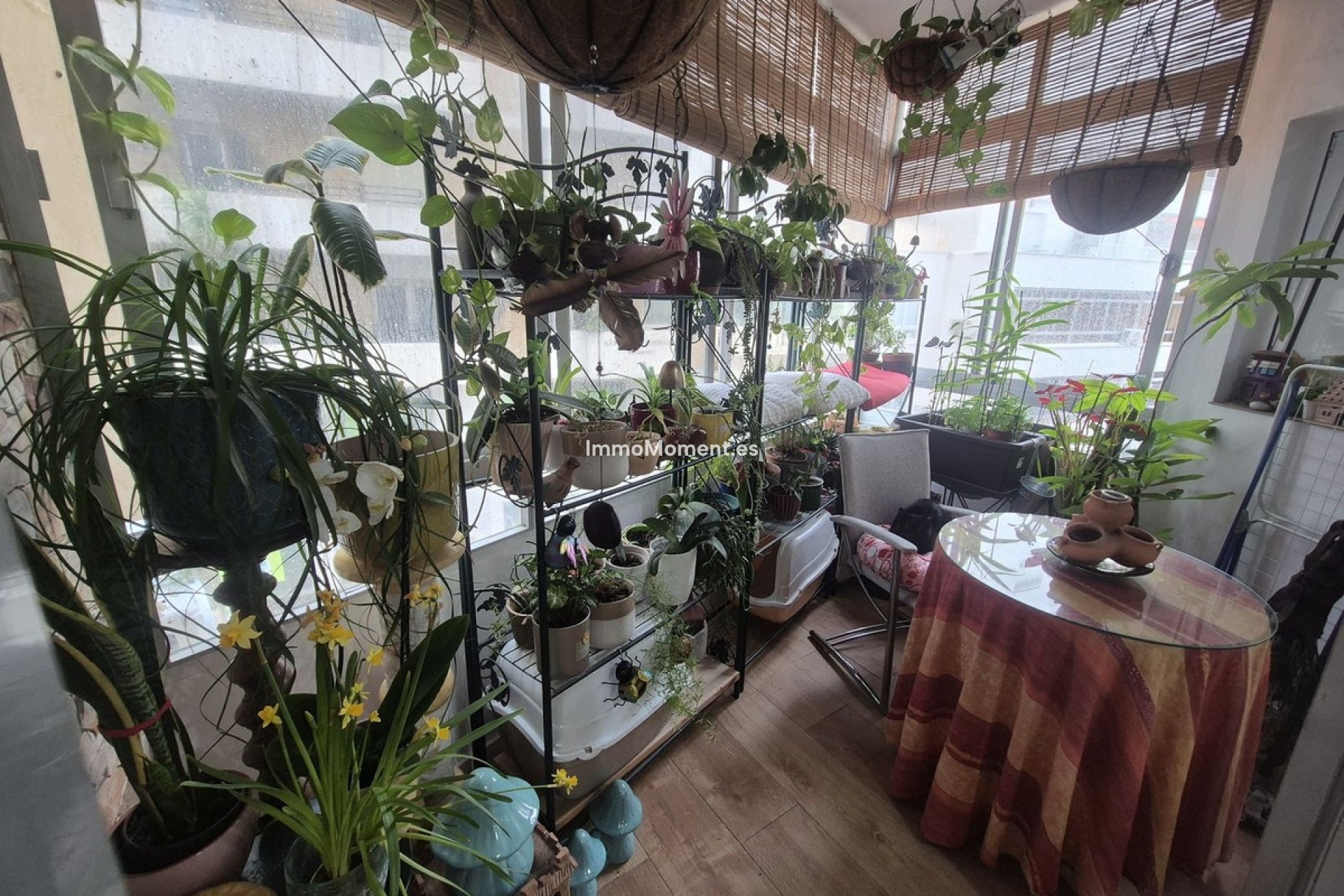 Reventa - Apartamento - Marbella - Marbella Centro