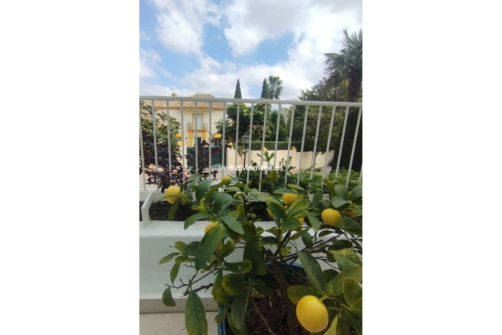 Reventa - Apartamento - Marbella - Marbella Centro