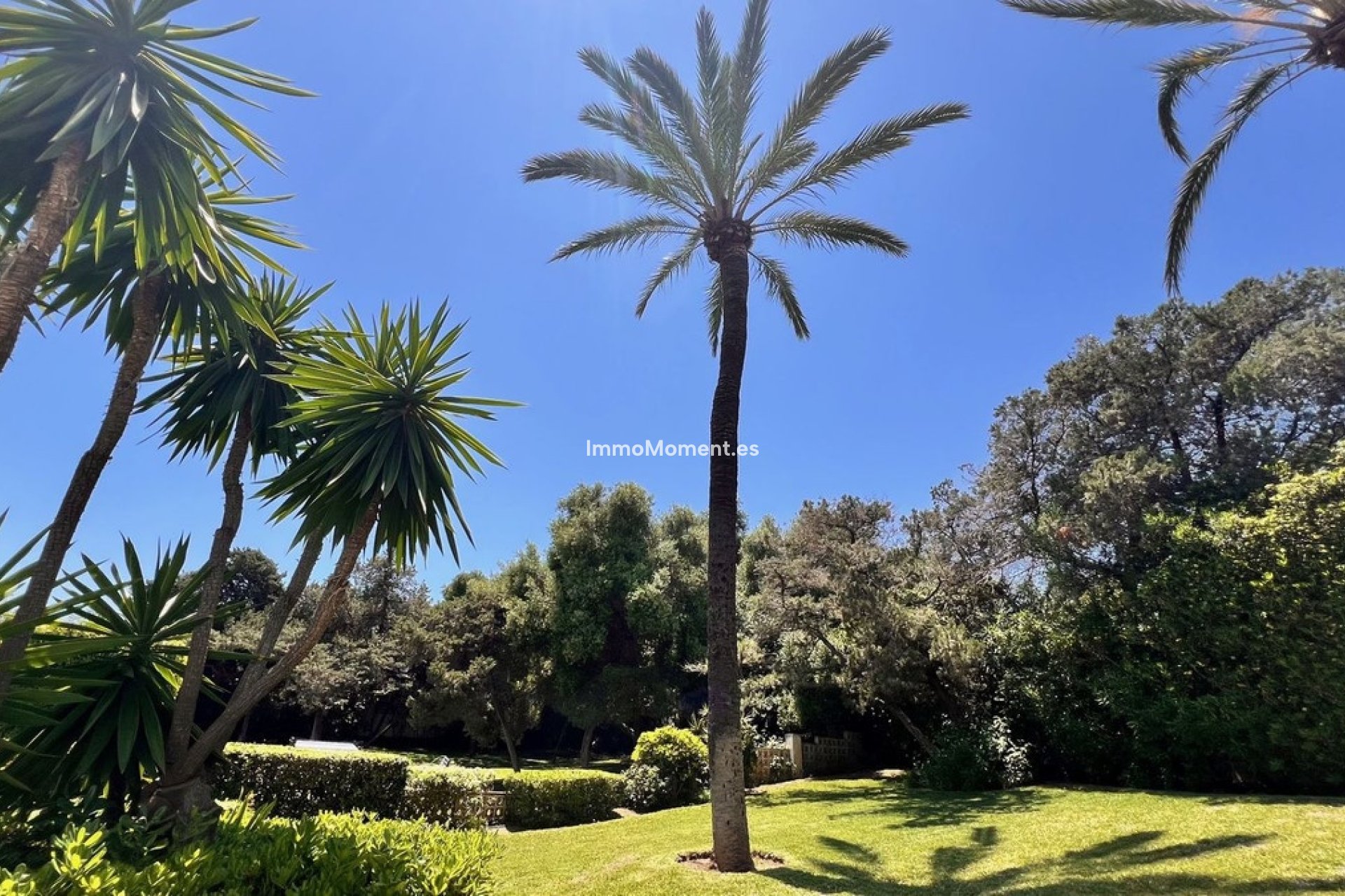 Reventa - Apartamento - Marbella - Marbesa