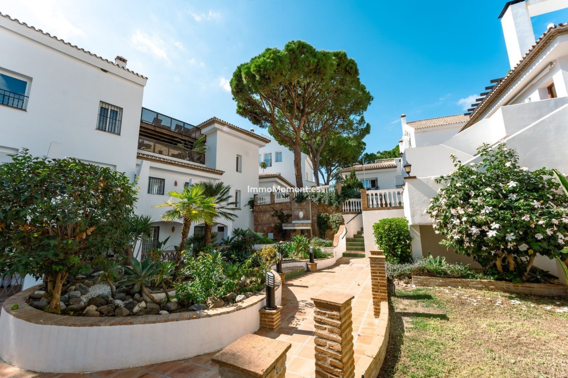 Reventa - Apartamento - Marbella - Nueva Andalucía