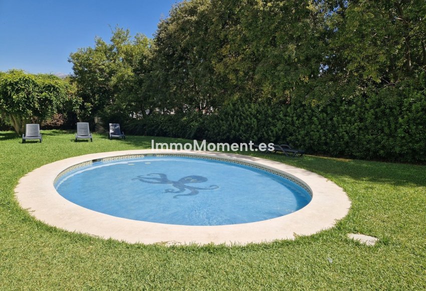 Reventa - Apartamento - Marbella - Nueva Andalucía