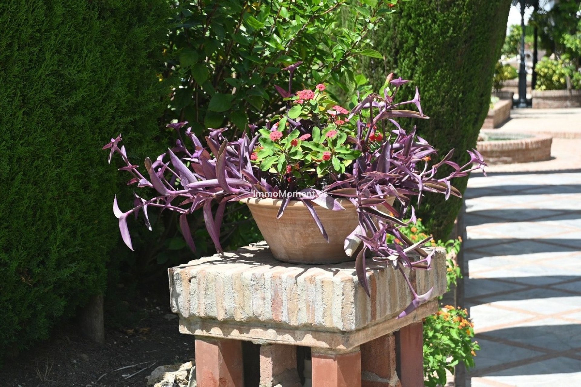 Reventa - Apartamento - Marbella - Nueva Andalucía