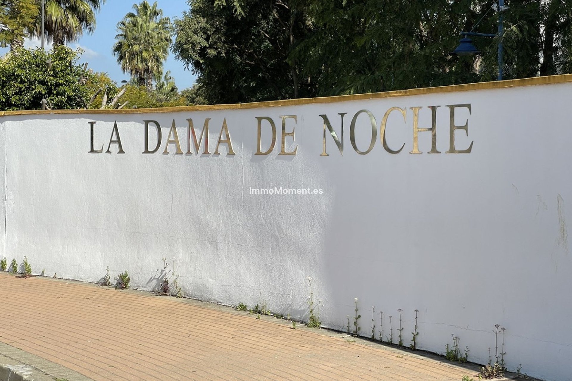 Reventa - Apartamento - Marbella - Nueva Andalucía