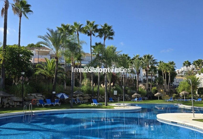 Reventa - Apartamento - Marbella - Nueva Andalucía