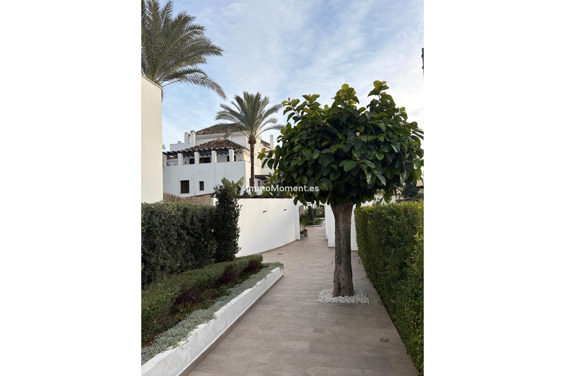 Reventa - Apartamento - Marbella - Nueva Andalucía