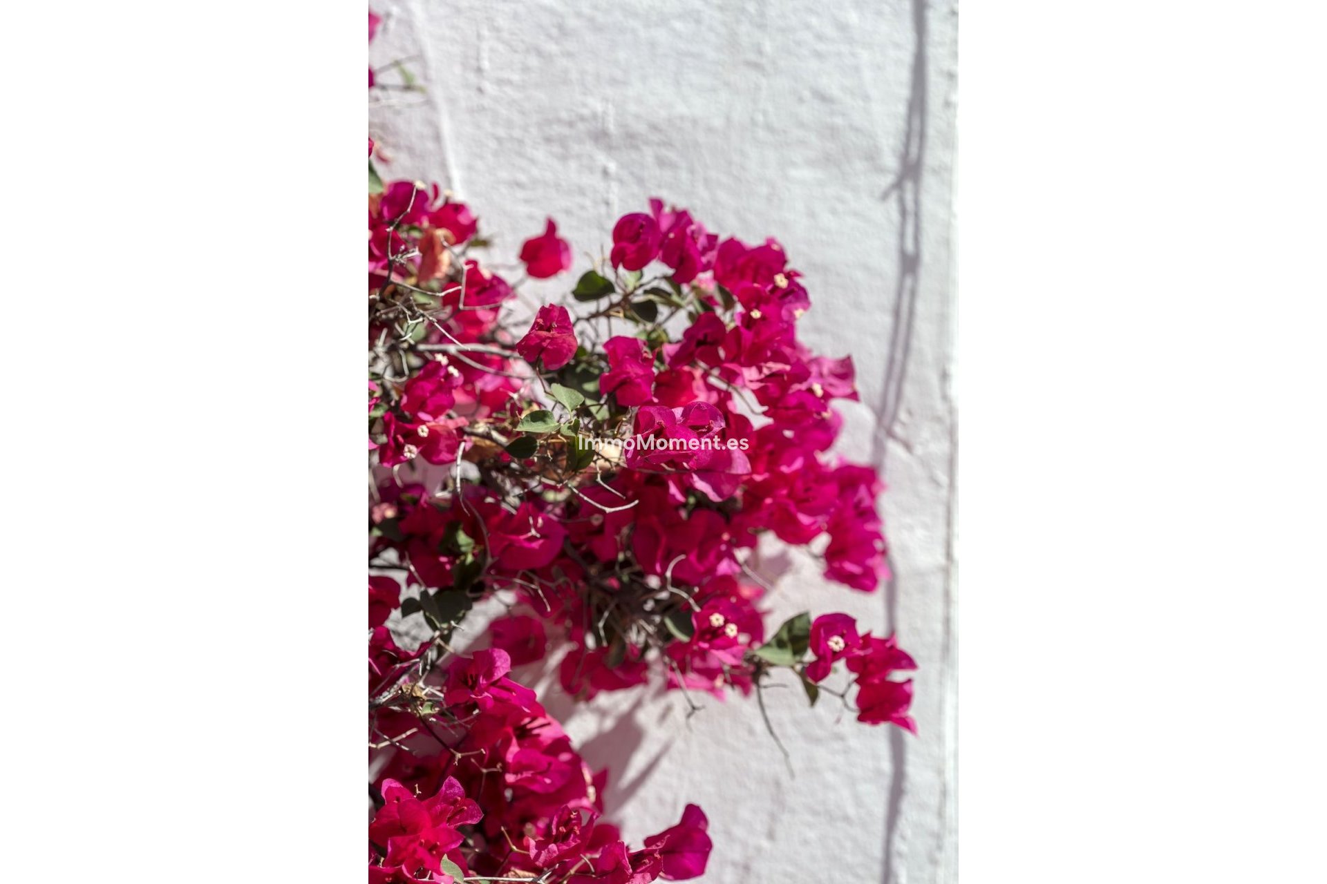 Reventa - Apartamento - Marbella - Nueva Andalucía