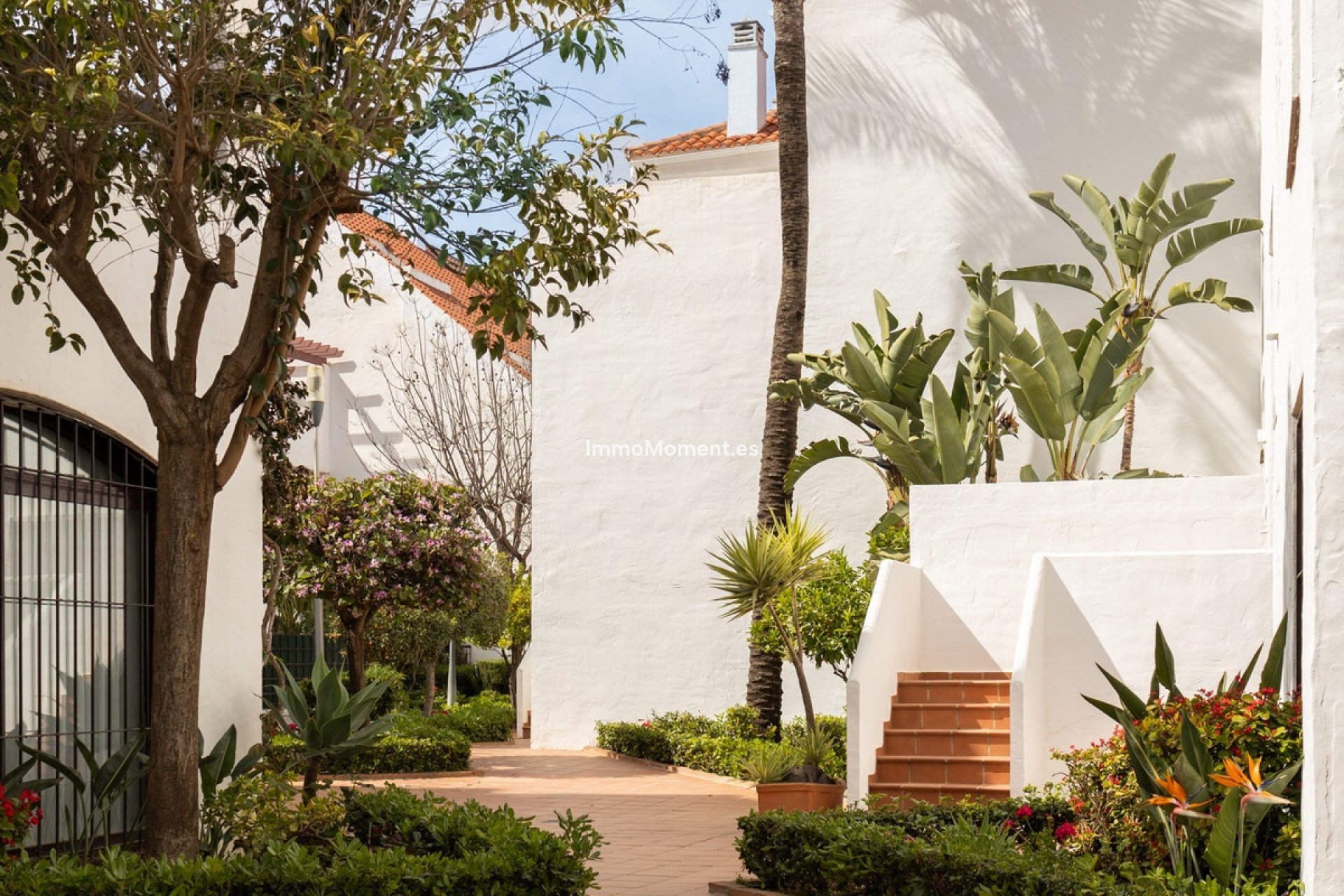 Reventa - Apartamento - Marbella - Nueva Andalucía