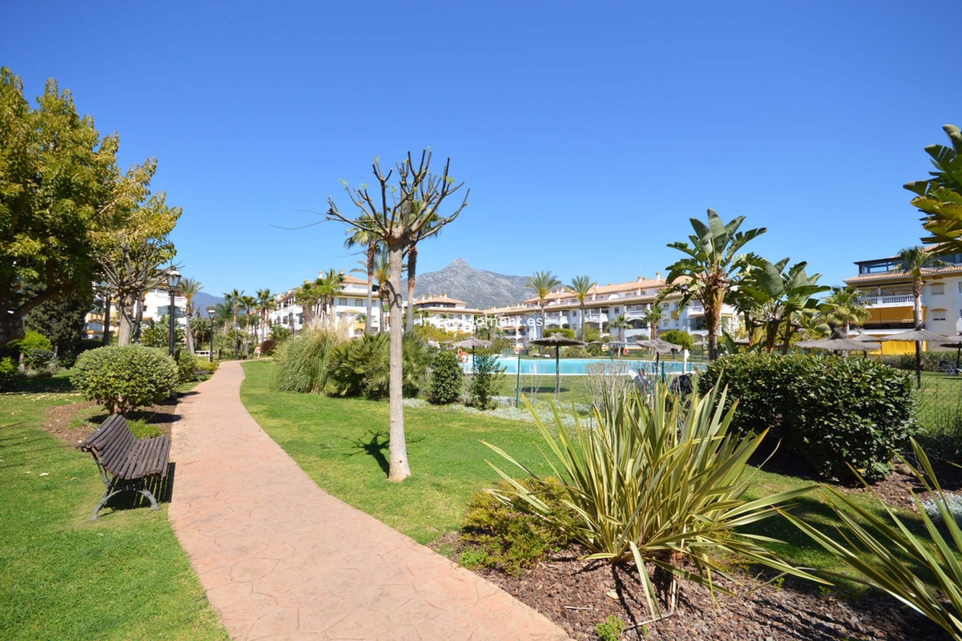 Reventa - Apartamento - Marbella - Nueva Andalucía