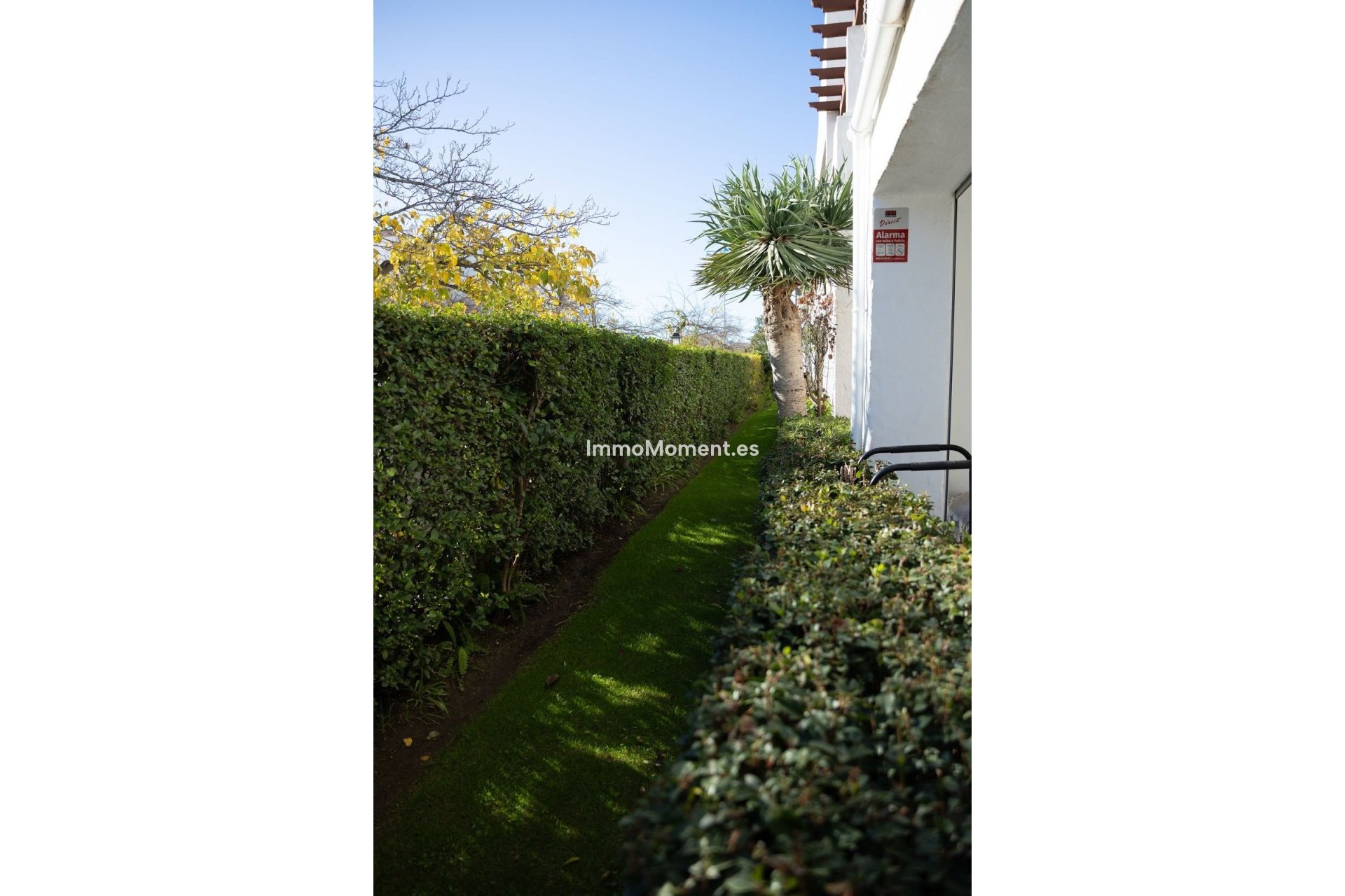Reventa - Apartamento - Marbella - San Pedro de Alcántara