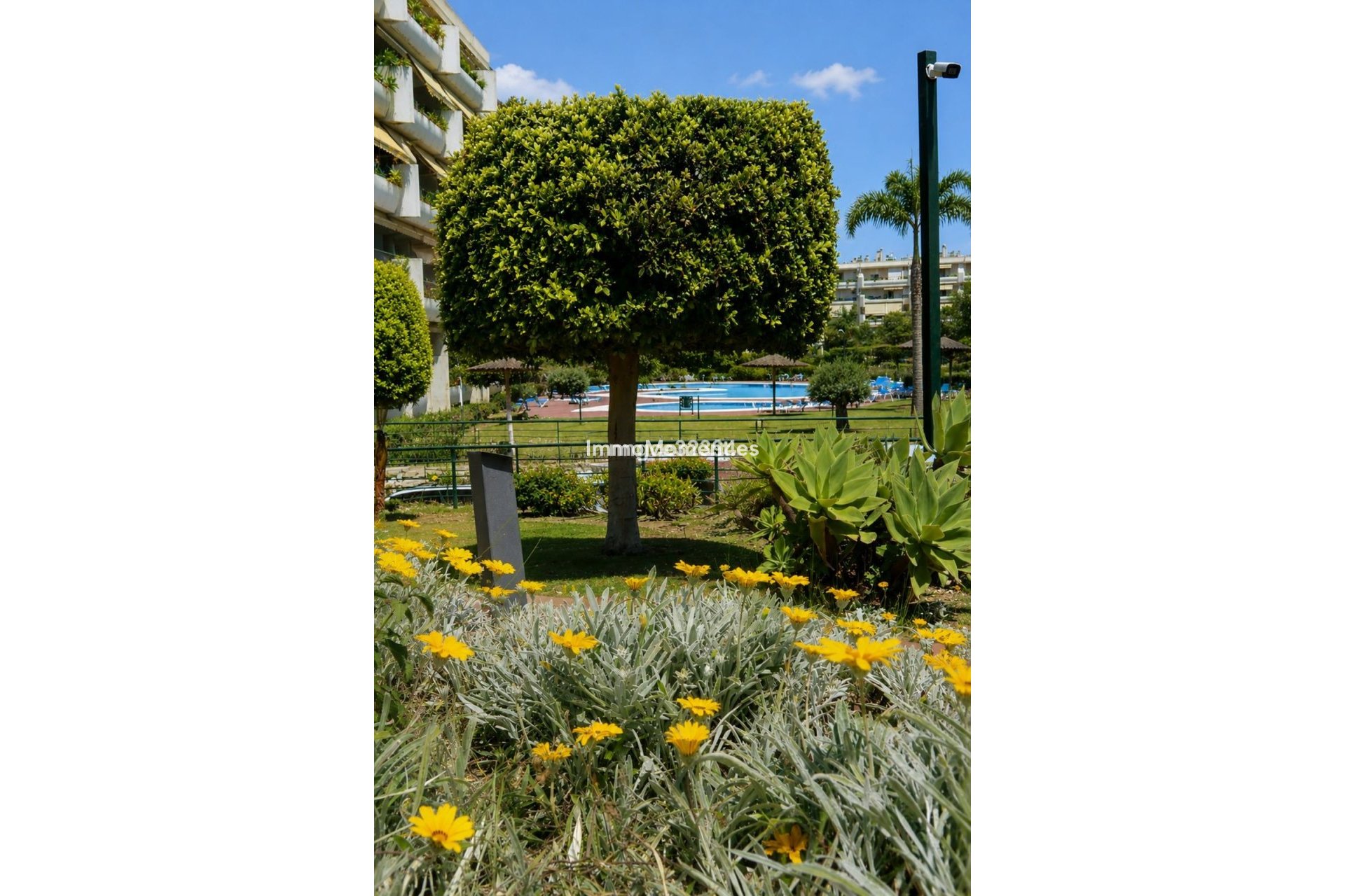 Reventa - Apartamento - Marbella - San Pedro de Alcántara