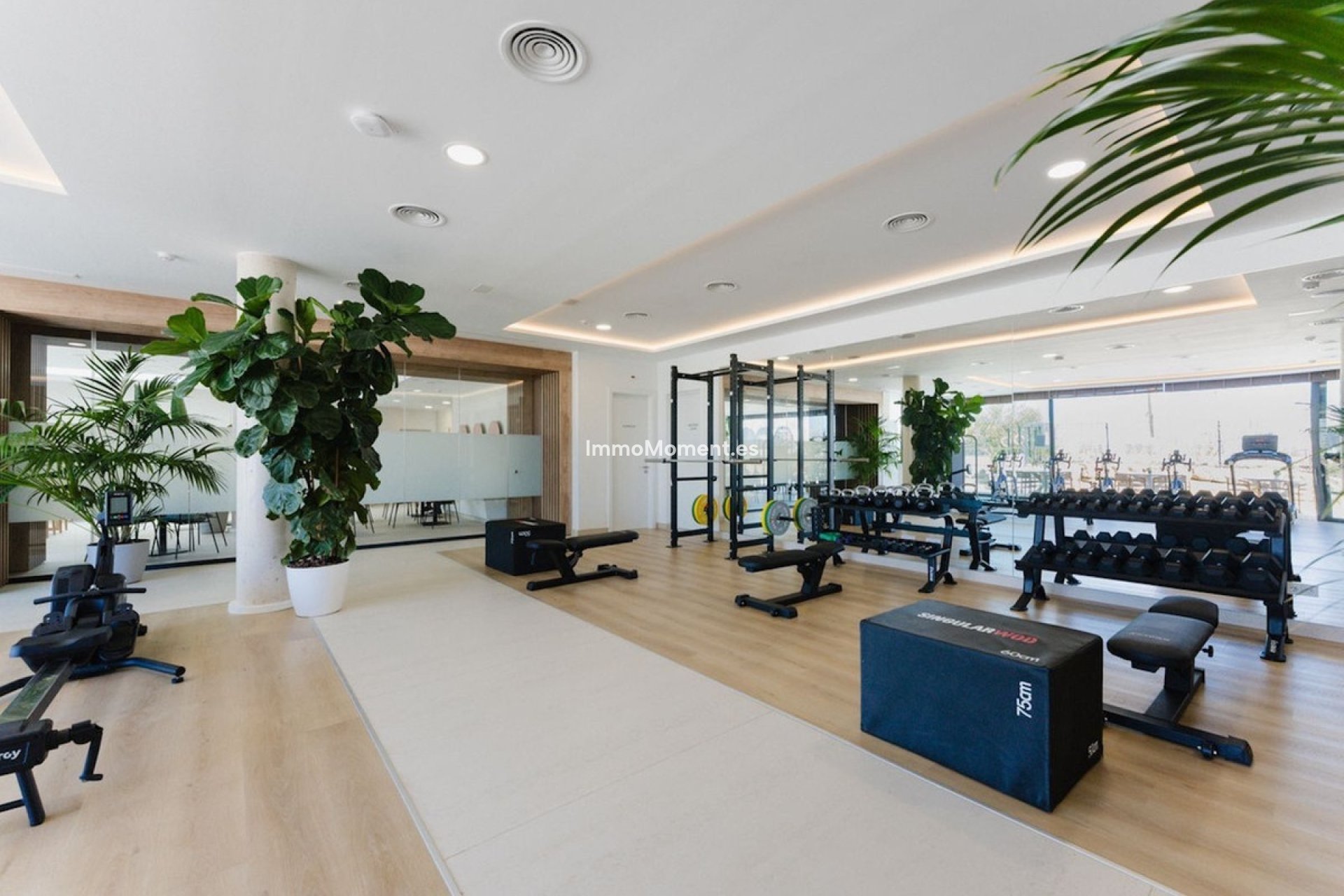 Reventa - Apartamento - Marbella - Santa Clara