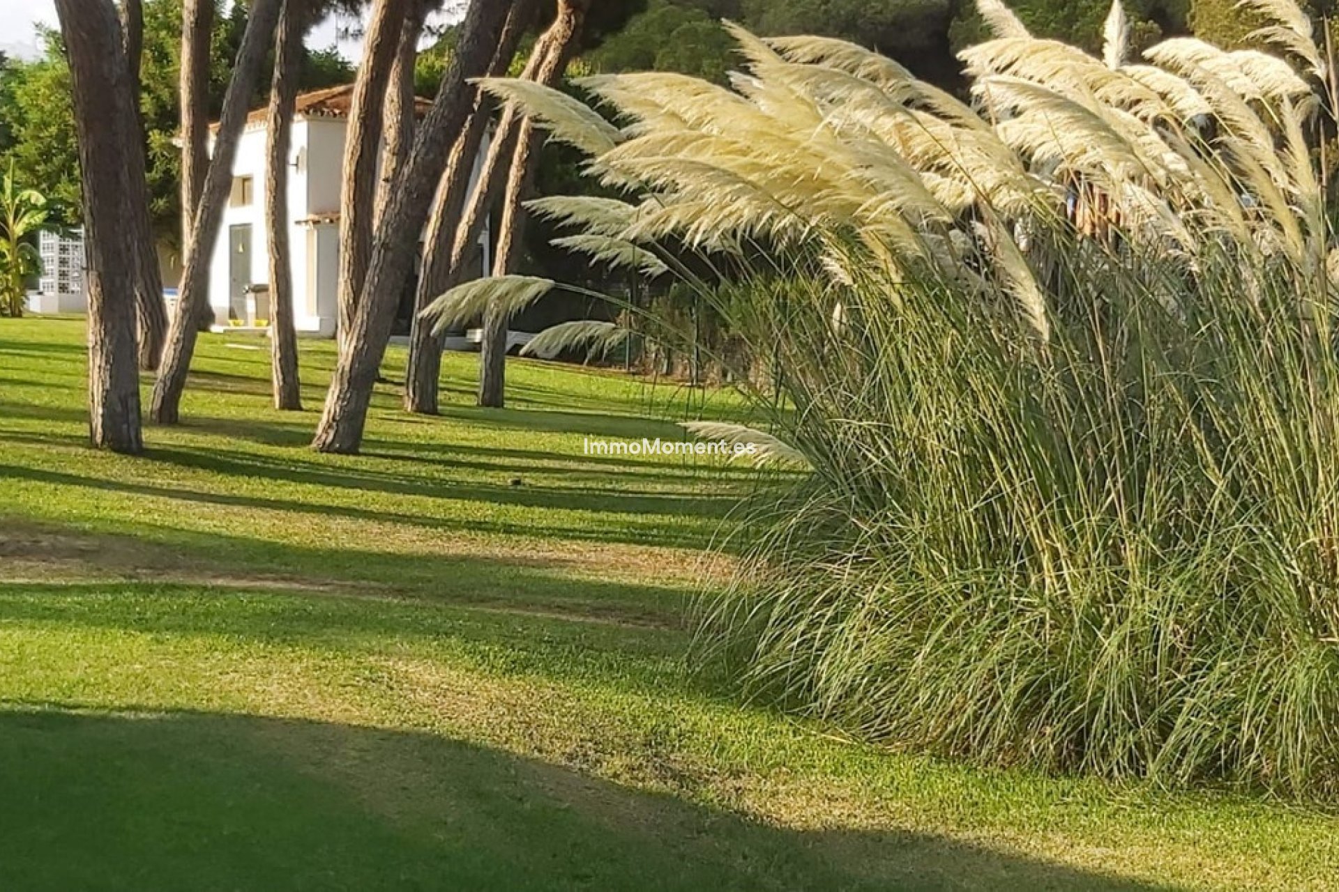 Reventa - Apartamento - Mijas - Calahonda
