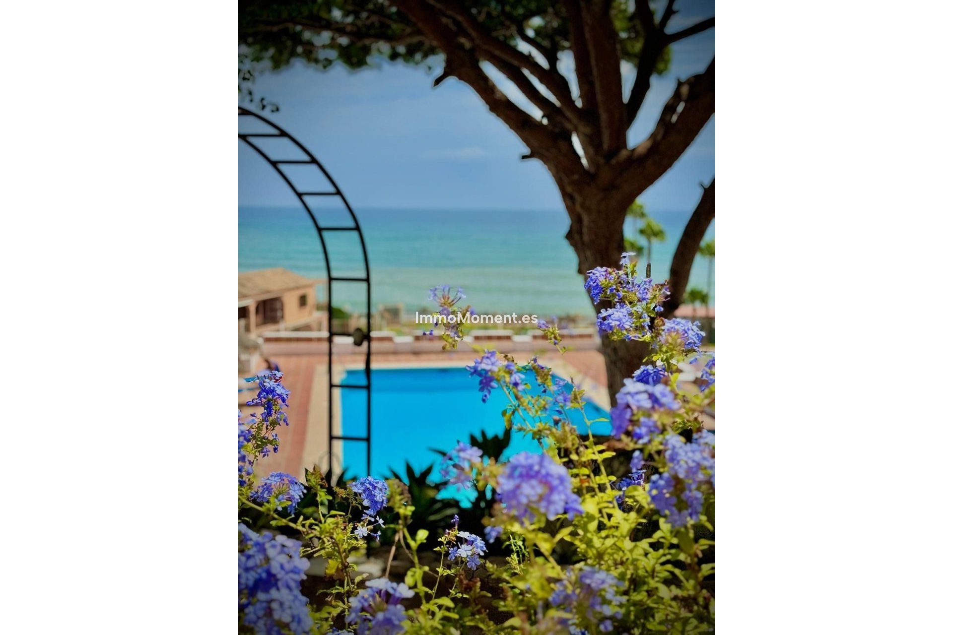 Reventa - Apartamento - Mijas - Calahonda