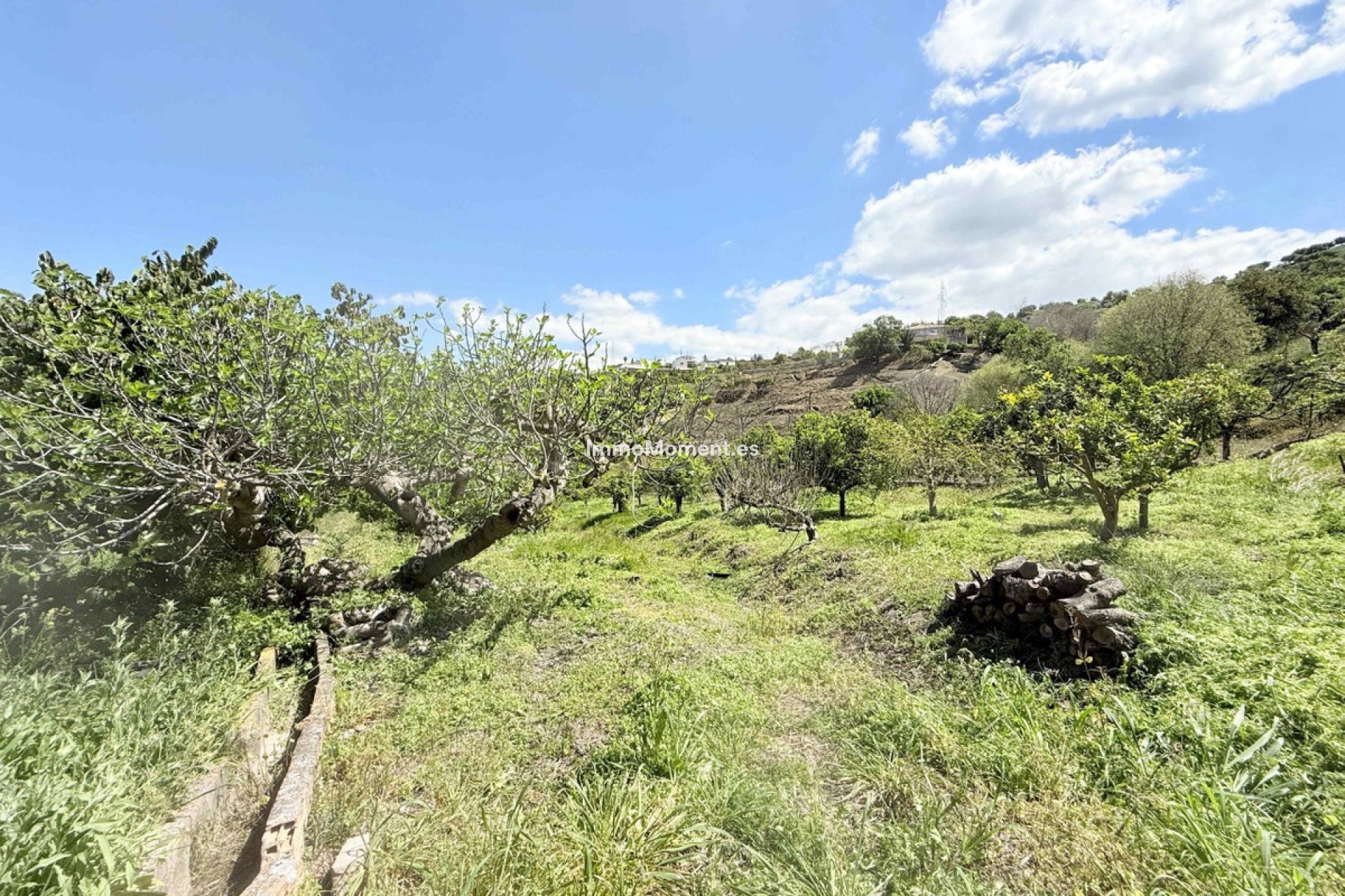 Reventa - Apartamento - Mijas - Mijas Centro