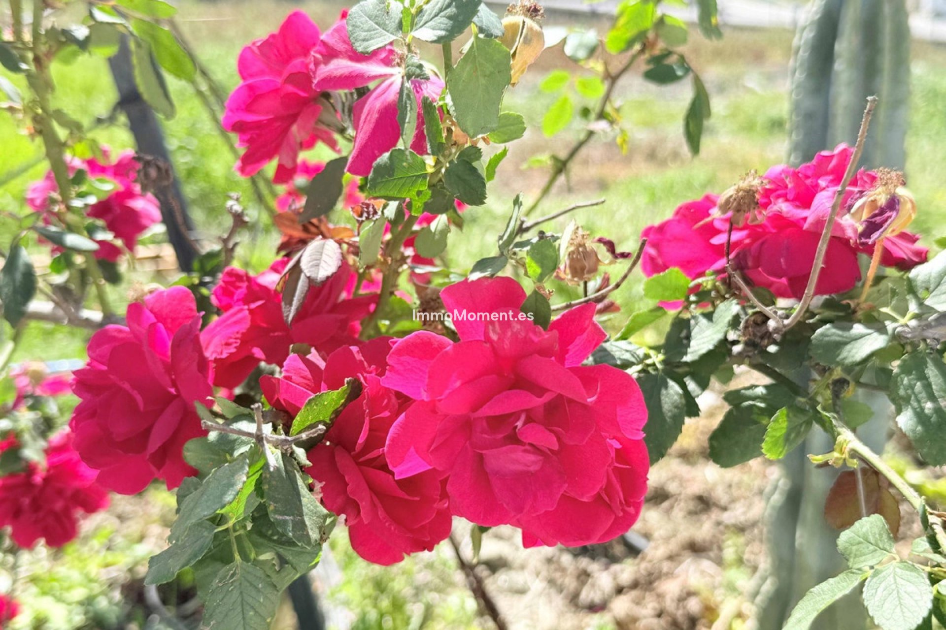 Reventa - Apartamento - Mijas - Mijas Centro