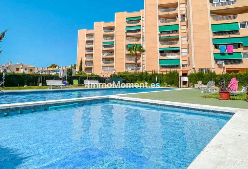 Reventa - Apartamento - Orihuela - Cabo roig - La Zenia