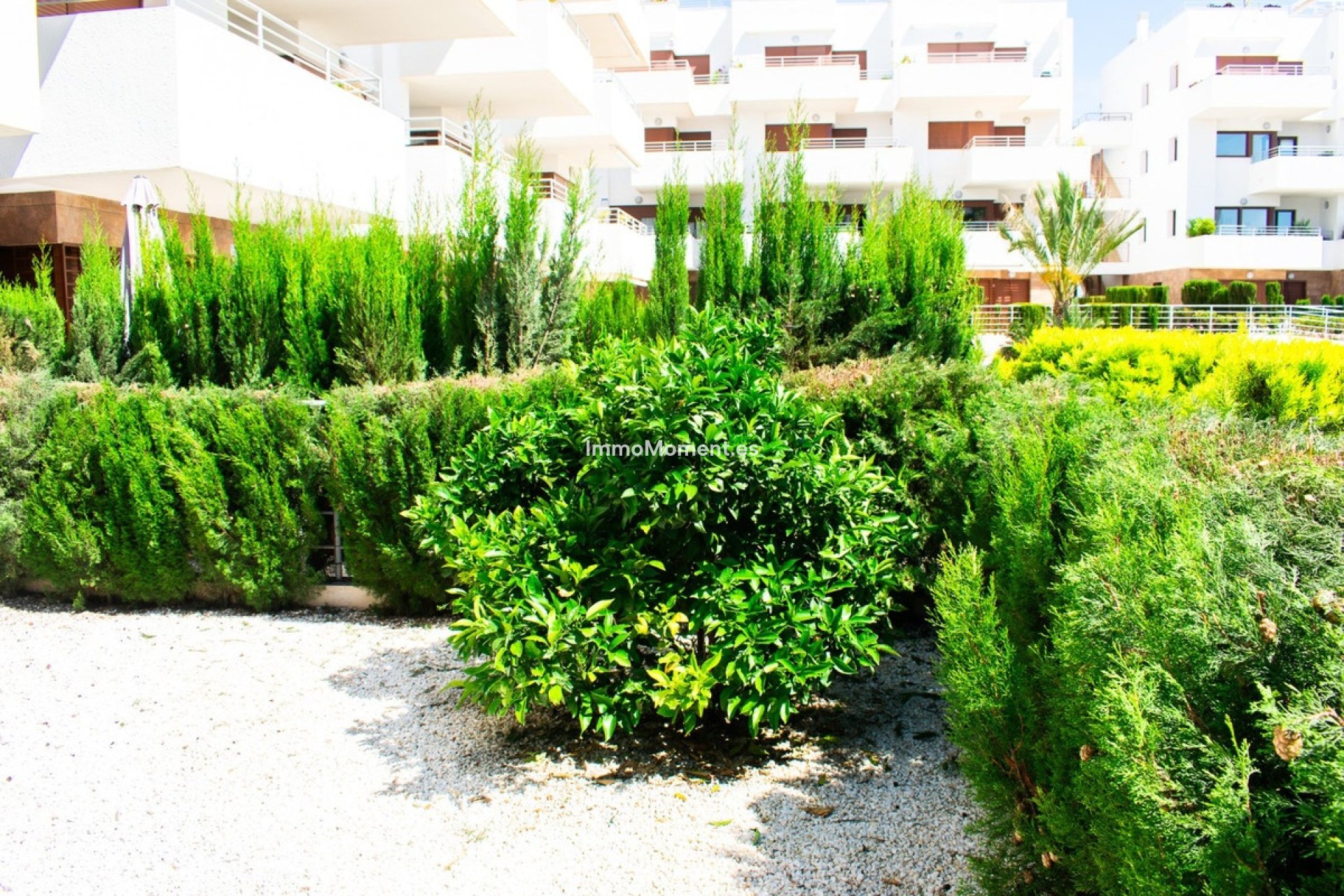 Reventa - Apartamento - Orihuela - Cabo roig - La Zenia