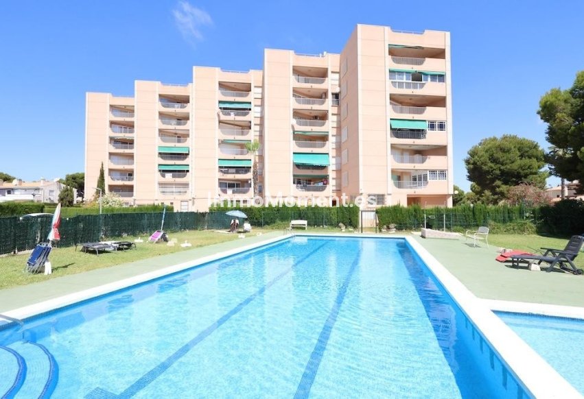 Reventa - Apartamento - Orihuela Costa - Cabo roig - La Zenia