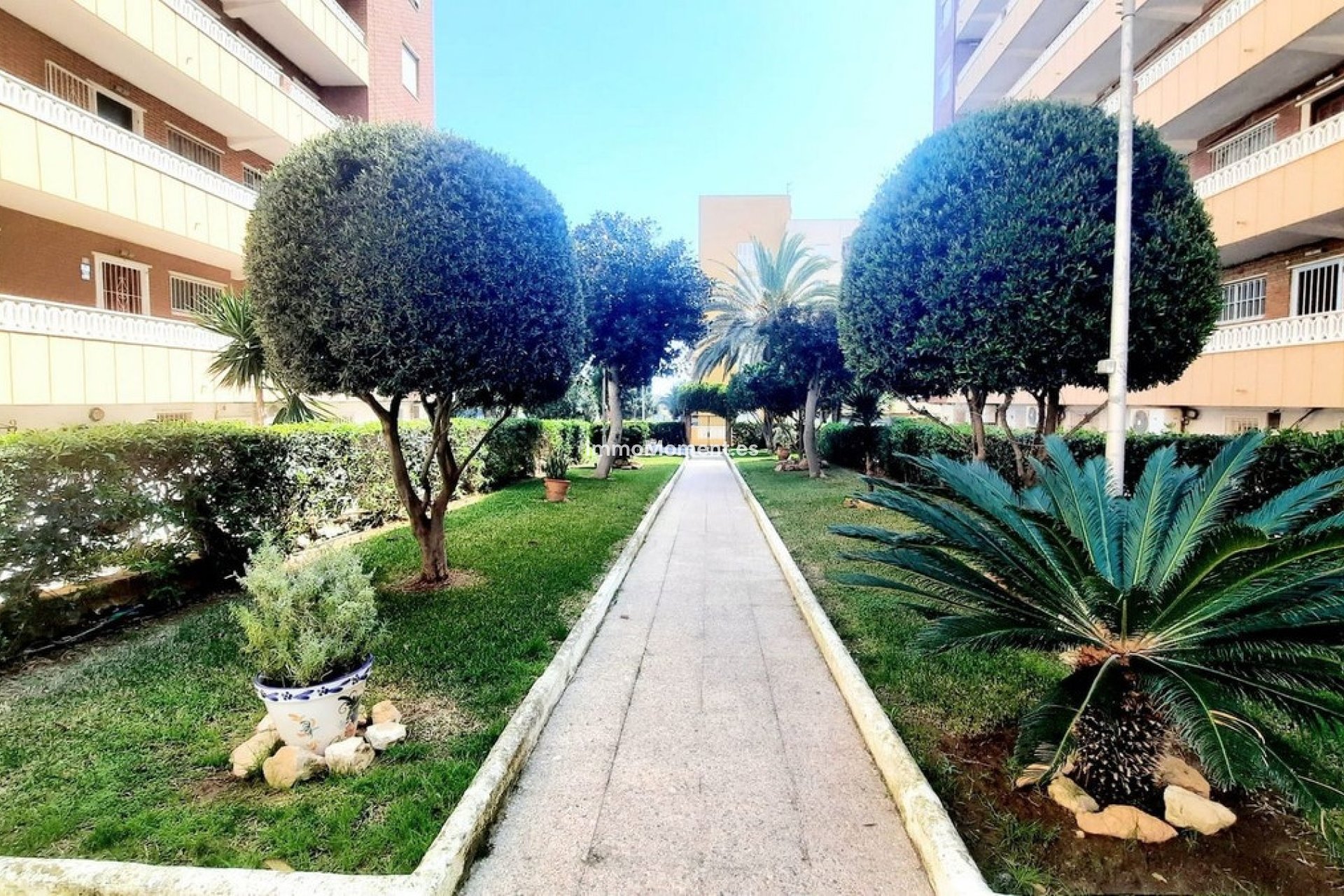 Reventa - Apartamento - Orihuela Costa - Punta Prima