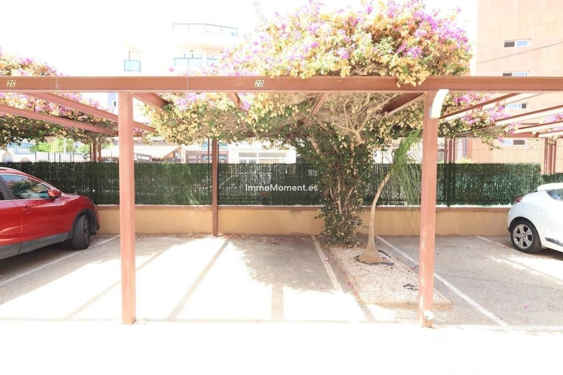 Reventa - Apartamento - Orihuela - La Regia